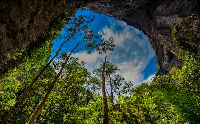 Chiribiquete National Park 05MBC